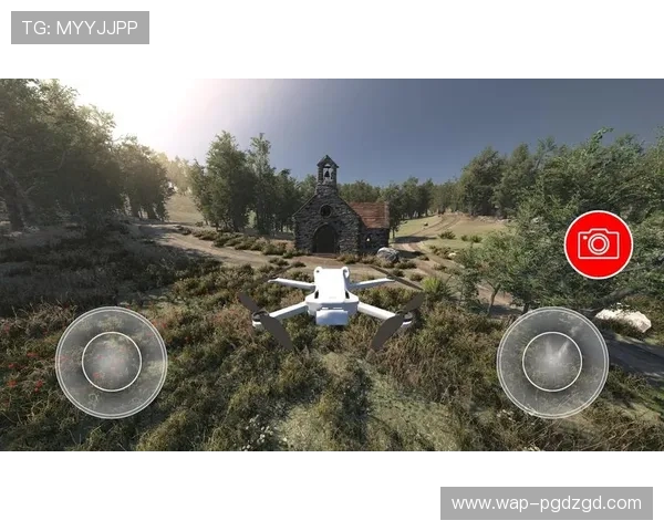 全面解析PG模拟器的功能特点与使用技巧助你轻松应对各种游戏场景